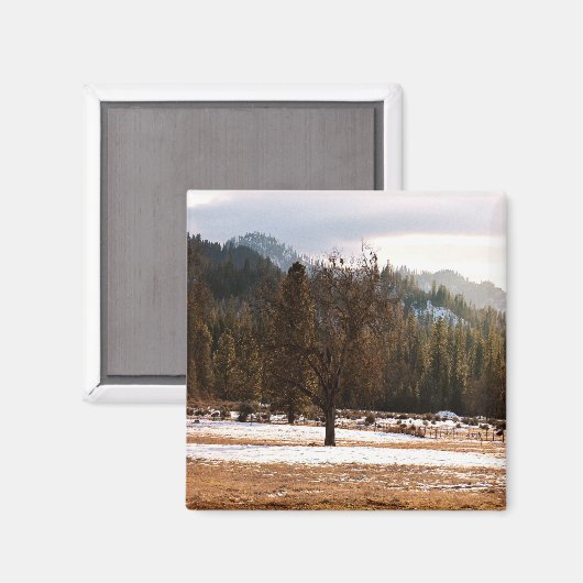 Winter..... Magneet (Voorkant / Achterkant)
