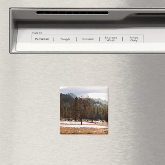 Winter..... Magneet (Insitu (Vaatwasser))