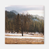 Winter..... Magneet (Voorkant)