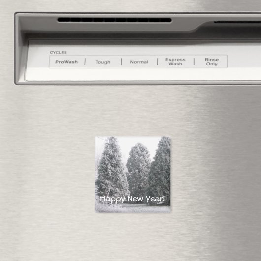 Winter Magneet (Insitu (Vaatwasser))