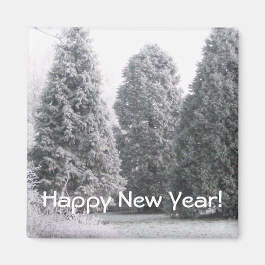 Winter Magneet (Voorkant)