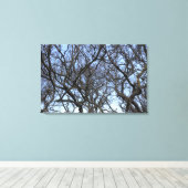 Winter Magnolia-filialen in het vroege voorjaar Canvas Afdruk (Insitu (Houten vloer))