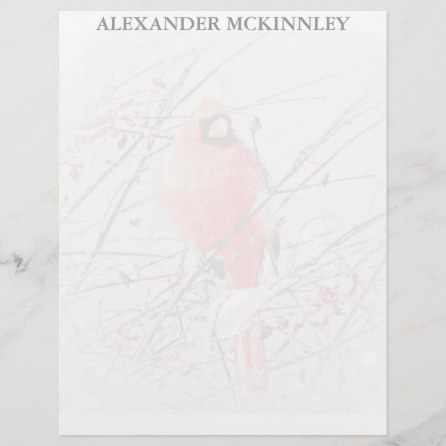 WINTER MALE CARDINAL (Voorkant)
