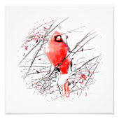 WINTER MALE CARDINAL FOTO AFDRUK (Voorkant)
