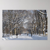 Winter Mall Central Park Poster (Voorkant)