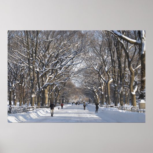 Winter Mall Central Park Poster (Voorkant)