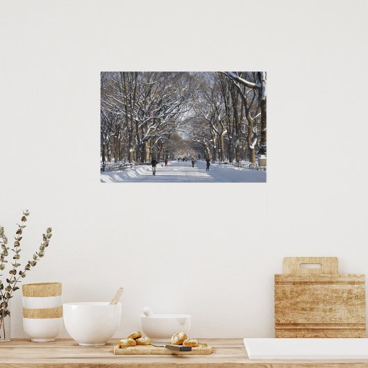 Winter Mall Central Park Poster (Keuken)