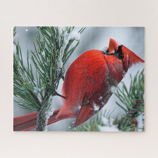 Winter Mannelijke Kardinaal Bird Pine Kerstbruilof Legpuzzel (Horizontaal)