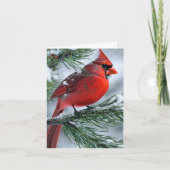 Winter Mannelijke Kardinaal Vogel Kerstfeest bruil (Voorkant)