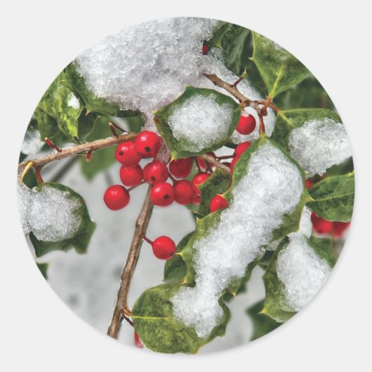 Winter - met ijs bedekte Hulst Ronde Sticker (Voorkant)