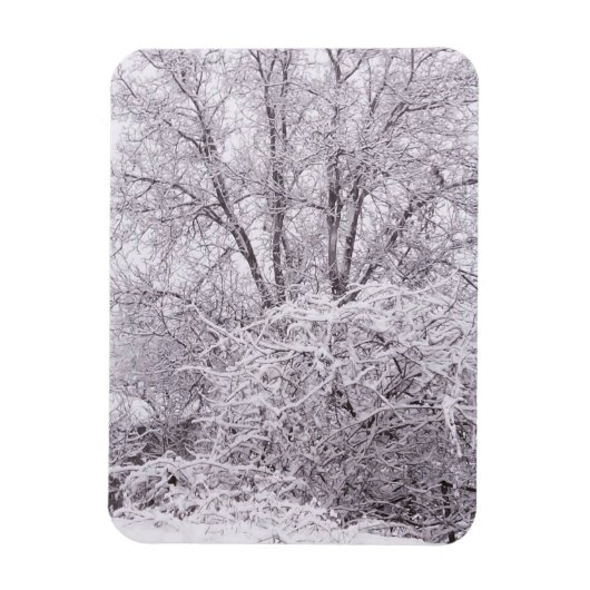 Winter met sneeuwlandschap magneet (Verticaal)