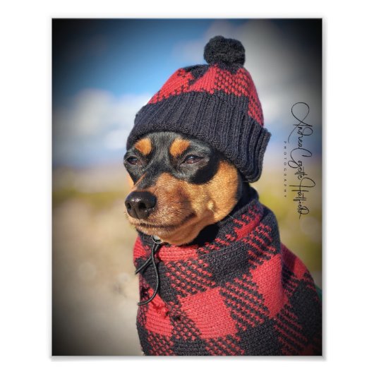 Winter Min Pin Foto Afdruk (Voorkant)