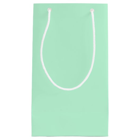 Winter Mint Solid Color Klein Cadeauzakje (Voorkant)