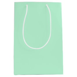 Winter Mint Solid Color Medium Cadeauzakje
