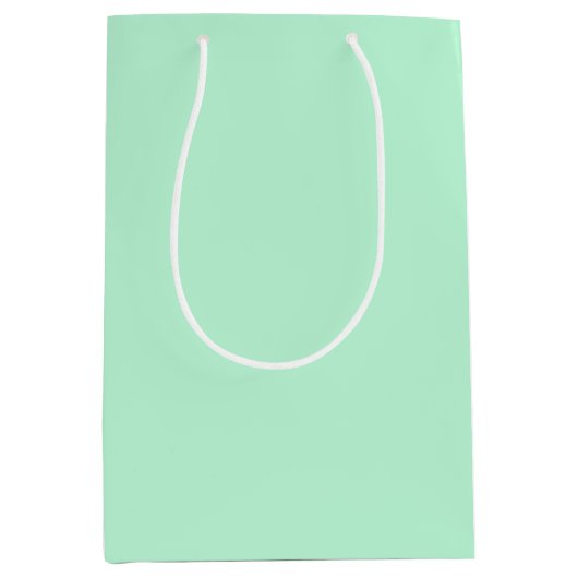 Winter Mint Solid Color Medium Cadeauzakje (Voorkant)