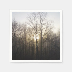 Winter Mist Zonsopgang Natuurfotografie Servet