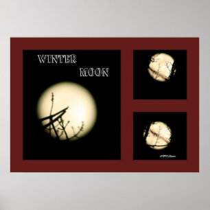 Winter Moon Collage Poster