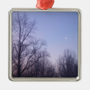 Winter Moon Morning Landscape Foto Metalen Ornament