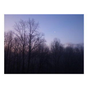 Winter Moon Morning Landscape Foto Poster