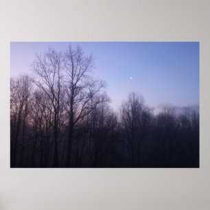 Winter Moon Morning Landscape Foto Poster