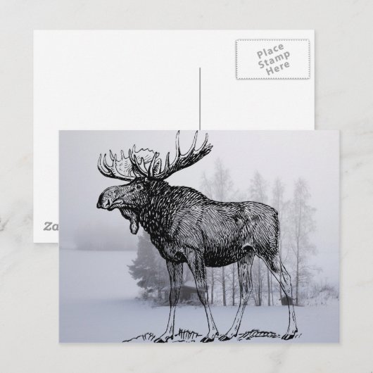 Winter Moose Briefkaart (Voorkant / Achterkant)