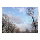 Winter Morning I (Voorkant Horizontaal)