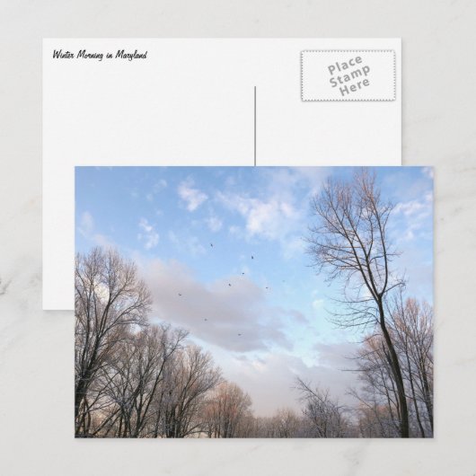 Winter Morning I Briefkaart (Voorkant / Achterkant)