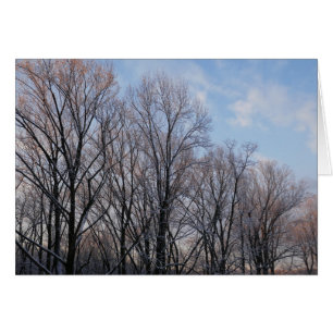 Winter Morning III Natuur landschap