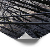 Winter Morning III Natuur landschap Poster (Hoek)