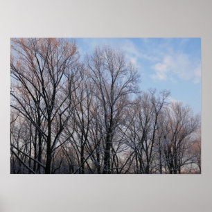 Winter Morning III Natuur landschap Poster