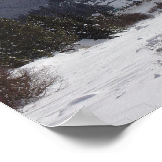 Winter Morning Poster (Hoek)