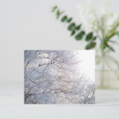 Winter Morning Snow Frosty Branches Natuur Briefkaart (Staand voorkant)