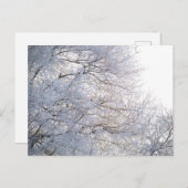 Winter Morning Snow Frosty Branches Natuur Briefkaart (Voorkant / Achterkant)