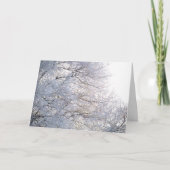 Winter Morning Snow Frosty Branches Natuur Kaart (Voorkant)