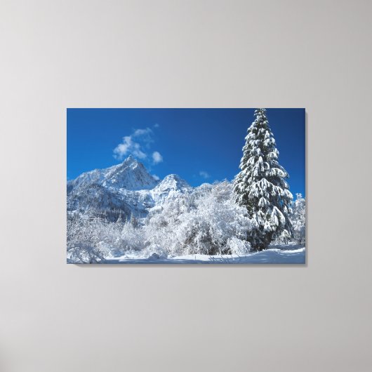 Winter Mountain Wonderland Canvas Afdruk (Voorkant)