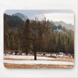 Winter...... Muismat