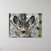 Winter Mule Deer Close-up Canvas Afdruk (Voorkant)