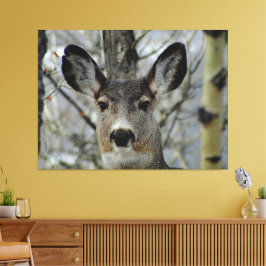 Winter Mule Deer Close-up Canvas Afdruk