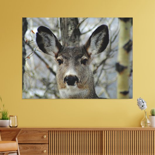 Winter Mule Deer Close-up Canvas Afdruk (Insitu (Woonkamer))