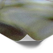 Winter Mule Deer Close-up Poster (Hoek)