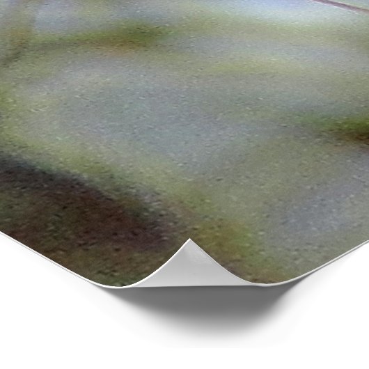 Winter Mule Deer Close-up Poster (Hoek)