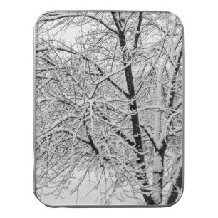 Winter Natuur blaasjesboom Puzzel