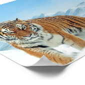 Winter Natuur Foto Snow Tiger Mountains Poster (Hoek)