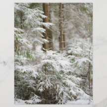 Winter natuur Kerst scrapbook achtergrondpapier