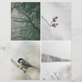 Winter Natuur: Kerst Scrapbook Uitknip papier