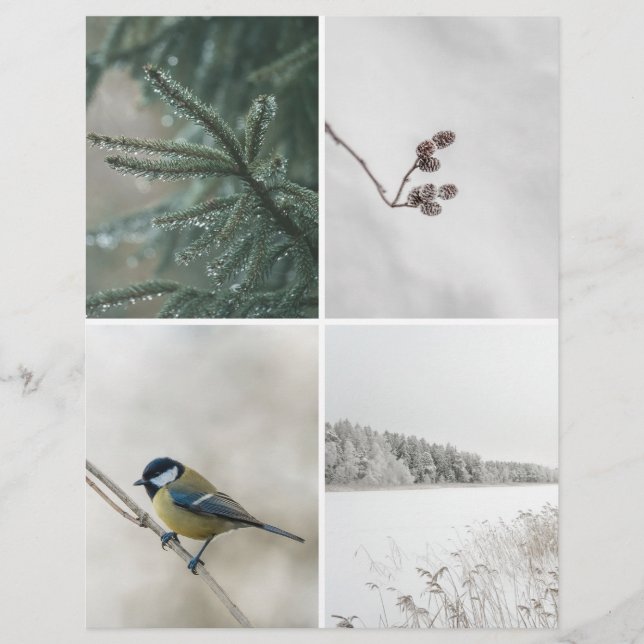 Winter Natuur: Kerst Scrapbook Uitknip papier (Voorkant)
