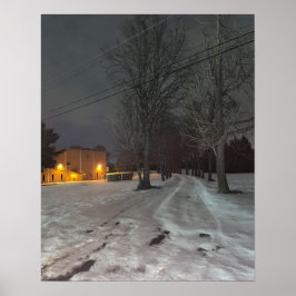 Winter Night Foto Poster