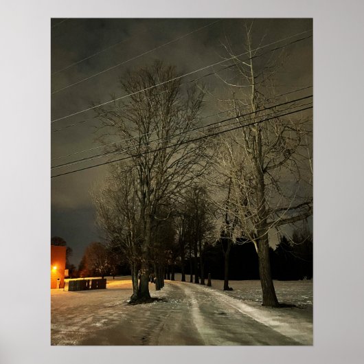 Winter Night Foto Poster (Voorkant)