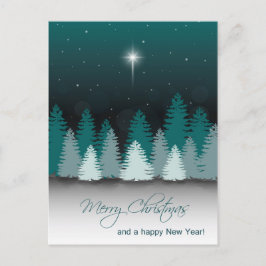 Winter Night with Star of Bethlehem Briefkaart