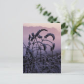 Winter, Norfolk, Engeland - Briefkaart (Staand voorkant)